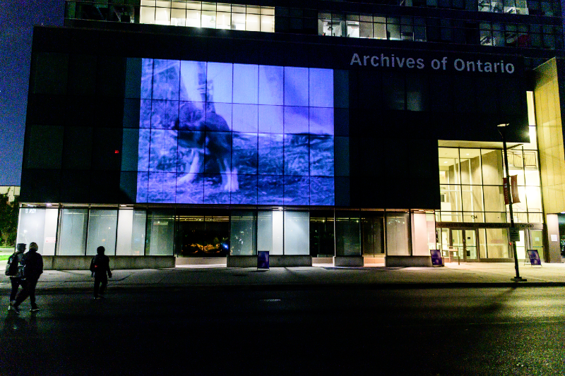 A colour photograph taken at night of a largescale video being projected onto the side of the Archives of Ontario building.