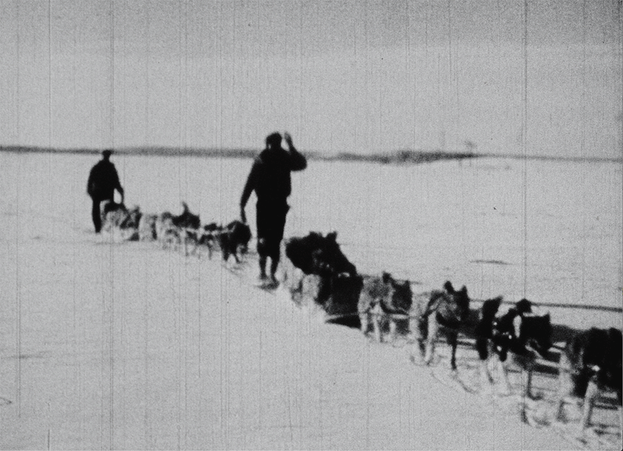 A black and white archival photograph of two people with dog sleds walking through a snowy landscape.