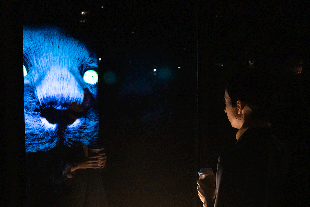 A photograph a person standing outside in the dark looking at a media installation with a large blue feline face depicted.