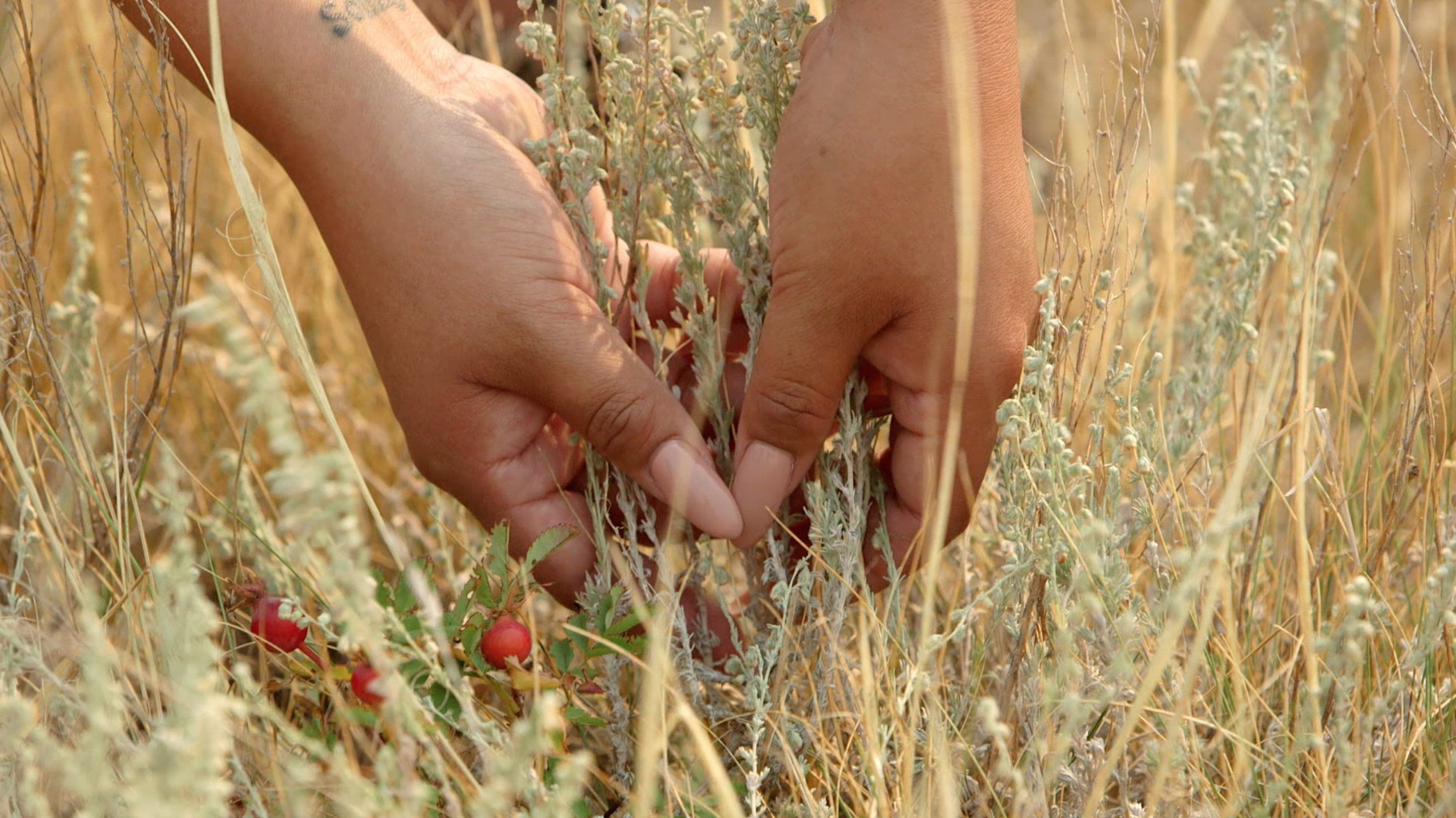 Still from In Her Care