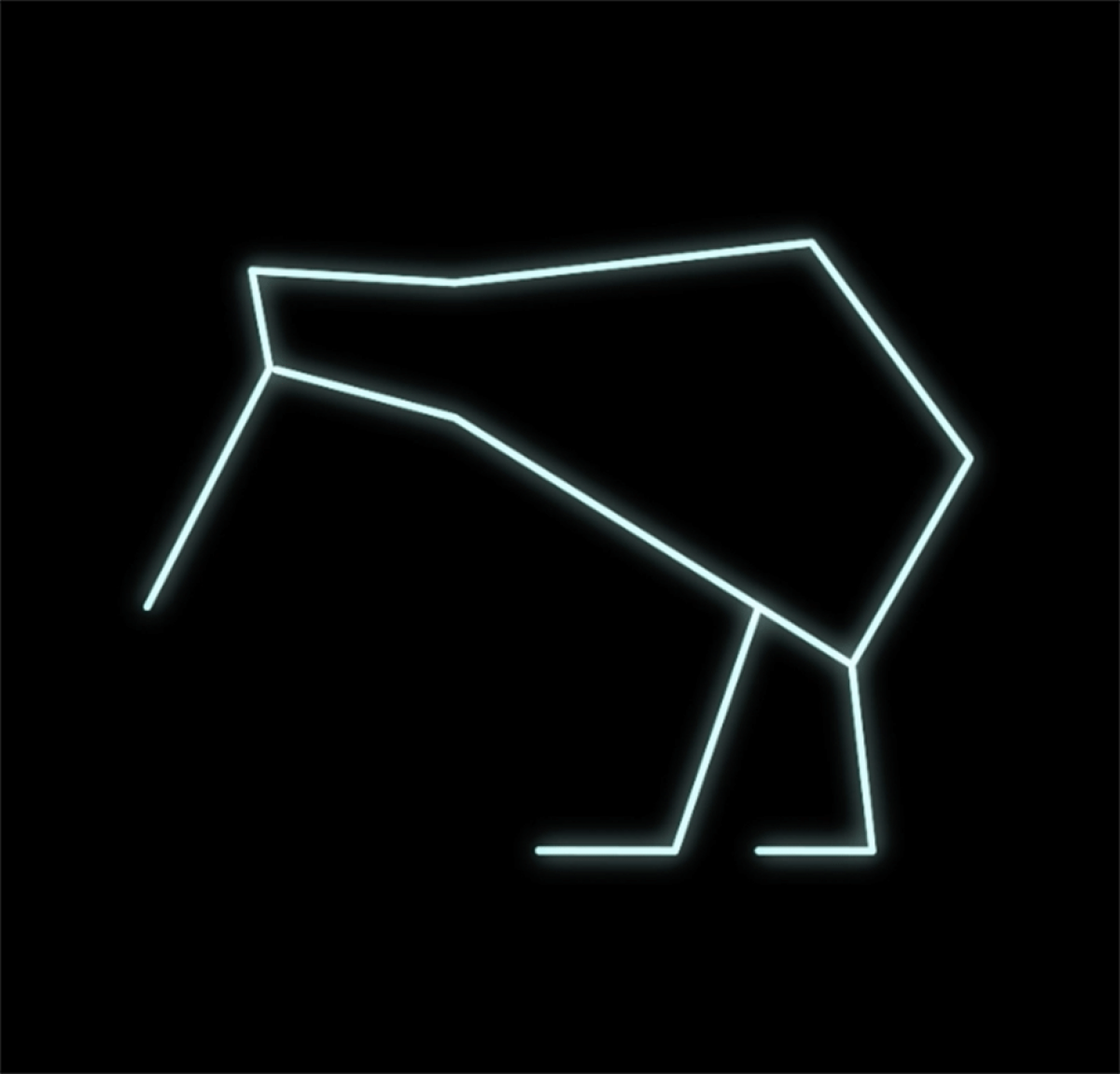 A geometric line drawing of a kiwi bird done in white against a black background.