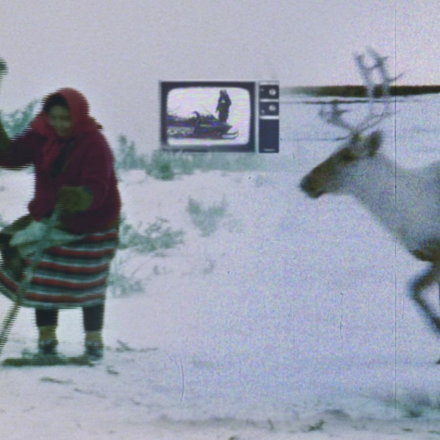 Film Still - Caribou in the Archive by Jennifer Dysart